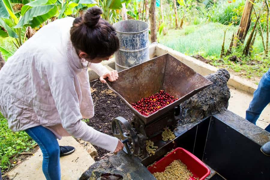 Medellin: Horseback Riding Coffee Farm Tour with Coffee Spa - Price and Value: What You’re Paying For at $150