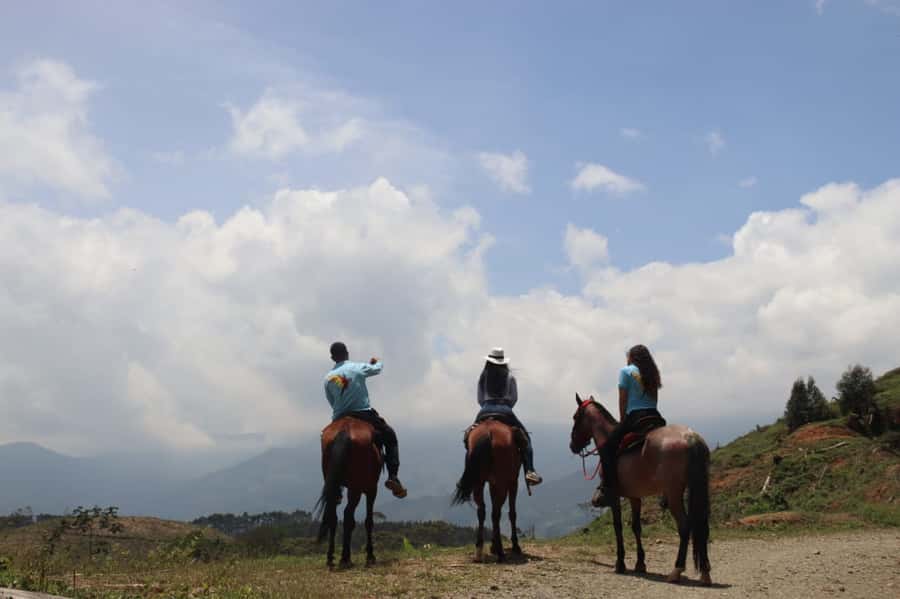 Medellin: Horseback Riding in the Medellin Mountains - Why this horseback ride is more than a scenic trail