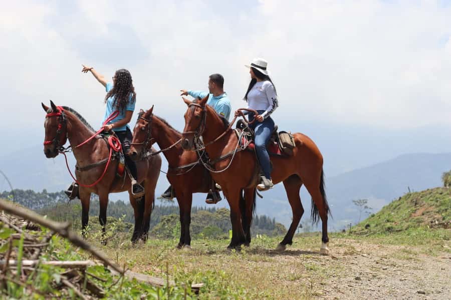 Medellin: Horseback Riding in the Medellin Mountains - The horses and what to expect on the trail