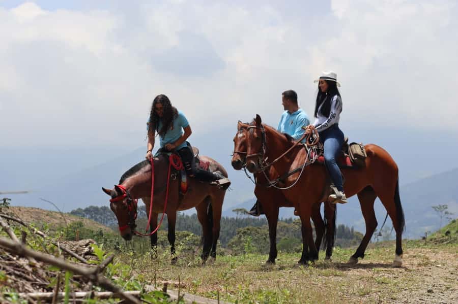 Medellin: Horseback Riding in the Medellin Mountains - Panoramic viewpoints: where the ride earns the drive