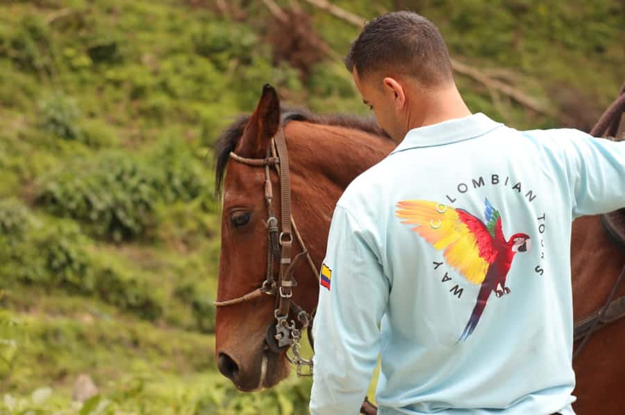 Medellin: Horseback Riding in the Medellin Mountains - Antioquia arriero culture: why horses mattered here