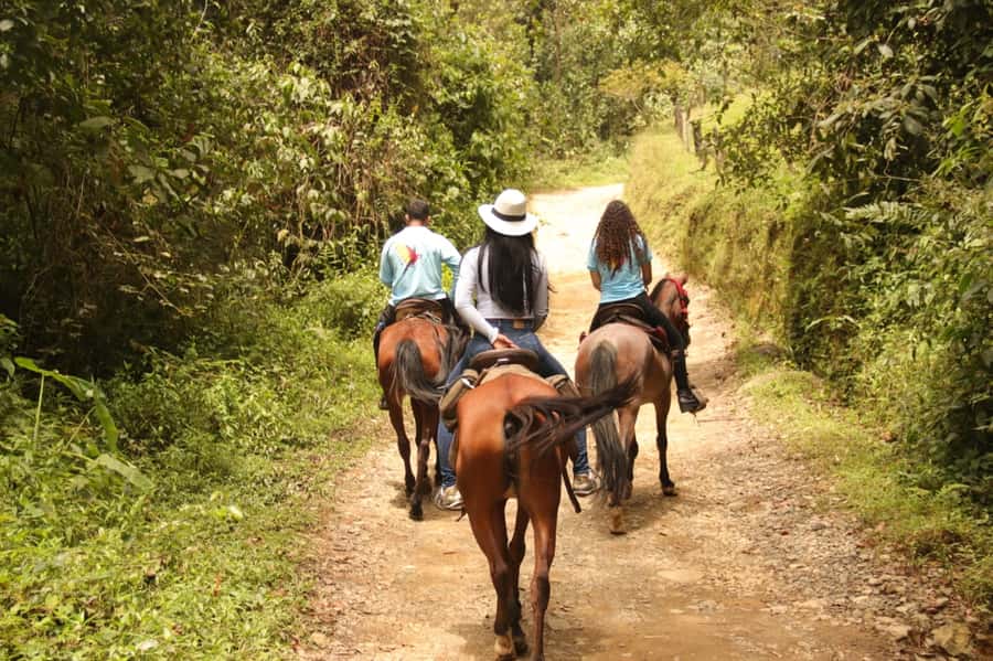 Medellin: Horseback Riding in the Medellin Mountains - Traditional food breaks and the ice cream factor
