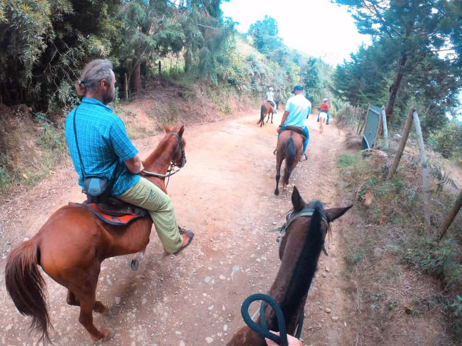 Medellin: Horseback Riding in the Medellin Mountains - Timing and the ride rhythm: 5 hours, with 2 in the saddle