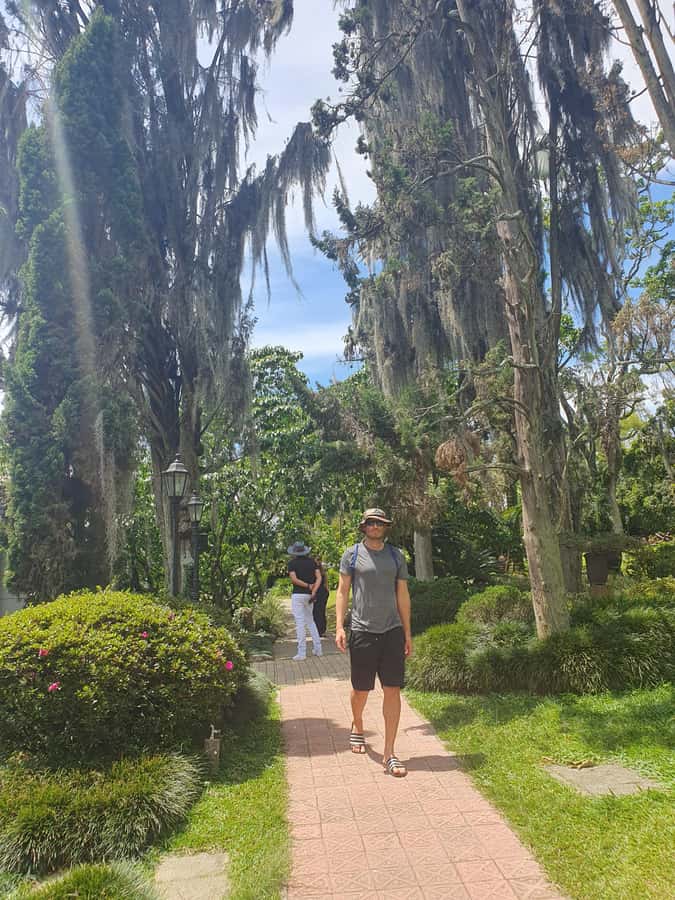 Medellin: Insider City Tour - Jardin Botanico lunch break: a peaceful reset, but budget for lunch separately