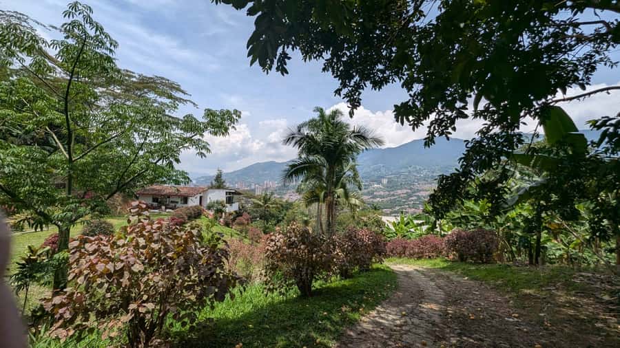 Medellín: Luxury Coffee Farm Tour with Tastings - The coffee fields walk: planting and harvesting you can actually picture