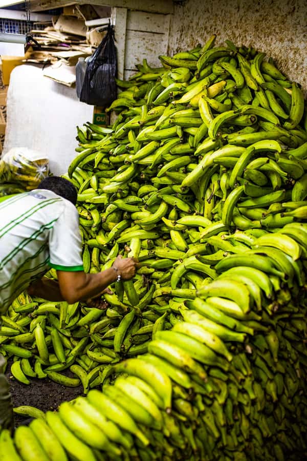 Medellín Multi-sensory Tour in the market, +15 Exotic Fruits - Puerta 1 to safety briefing: starting smart inside a real market