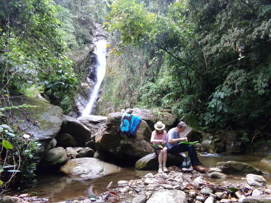 Medellín: Nature Experience & Waterfall-Hike - Medellín Has Another Side: Cloud Forest + La Miel Waterfall