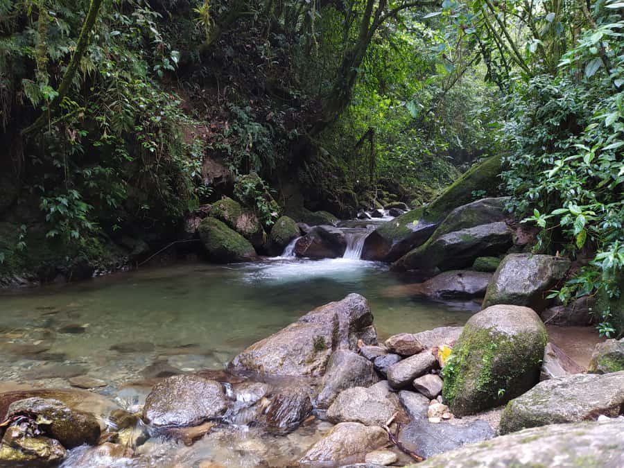 Medellín: Nature Experience & Waterfall-Hike - The Van Ride Through Antioquia Hills (and Why Timing Matters)