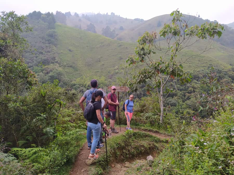 Medellín: Nature Experience & Waterfall-Hike - La Miel Waterfall: 20 Meters, Dense Forest, Big Payoff