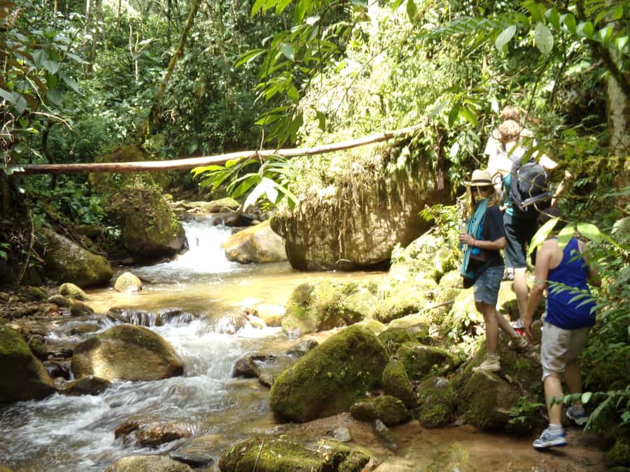 Medellín: Nature Experience & Waterfall-Hike - River Crossings and Slippery Rocks: Safety Without Fear