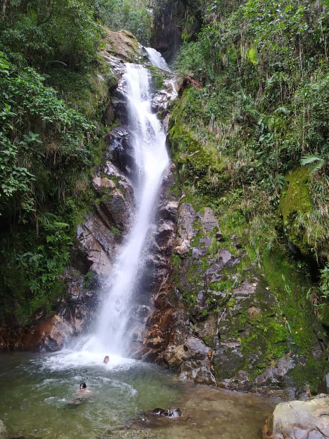 Medellín: Nature Experience & Waterfall-Hike - Who Should Book This Medellín Waterfall Hike (and Who Should Skip It)