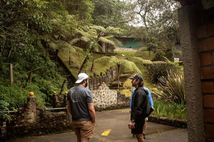 Medellin: Pablo Escobar, Dark Times & the New Medellin Tour - Price and Value: Is $56 for 4 Hours Fair?