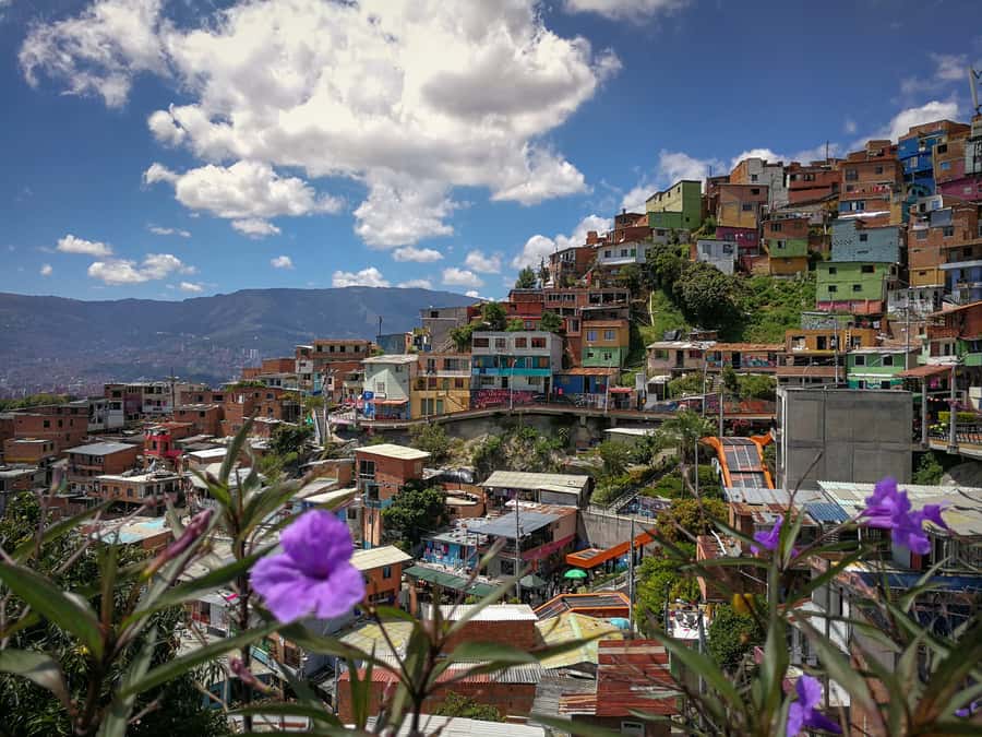 Medellín: Private City Tour with Metrocable and Comuna 13 - Comuna 13: Street Art, Escalators, and the Story Behind the Walls