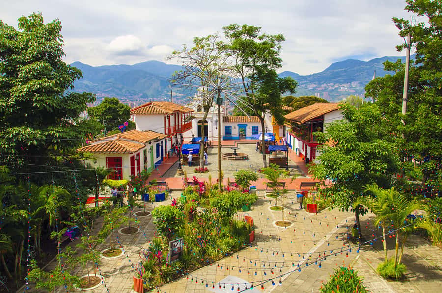 Medellín: Private City Tour with Metrocable and Comuna 13 - What You Get Most, Based on How Guides Tell the Story