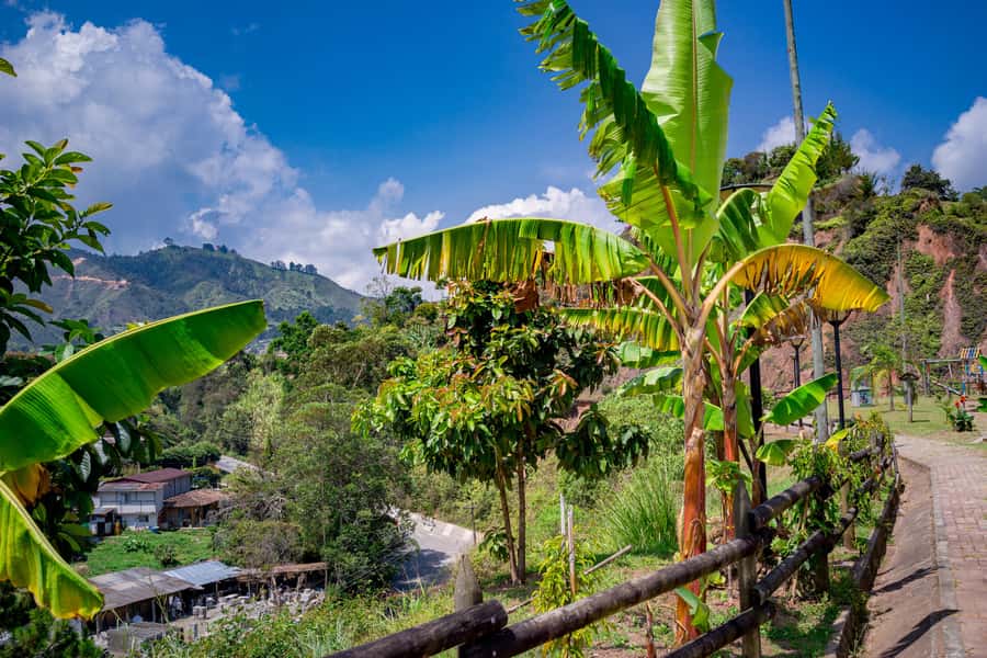 Medellín: Private Guatapé Tour w/ Breakfast, Lunch & Cruise - Private guide power: how the best guides shape the day
