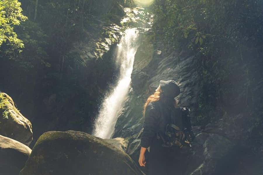 Medellín: Secret Waterfall Hike Tour with Snack and Coffee - Learning Flora and Fauna Without Turning It Into a Lecture