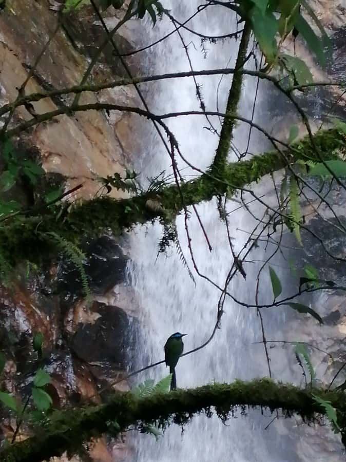 Medellín: Secret Waterfall Hike Tour with Snack and Coffee - A Few Small Rules That Keep the Day Smooth