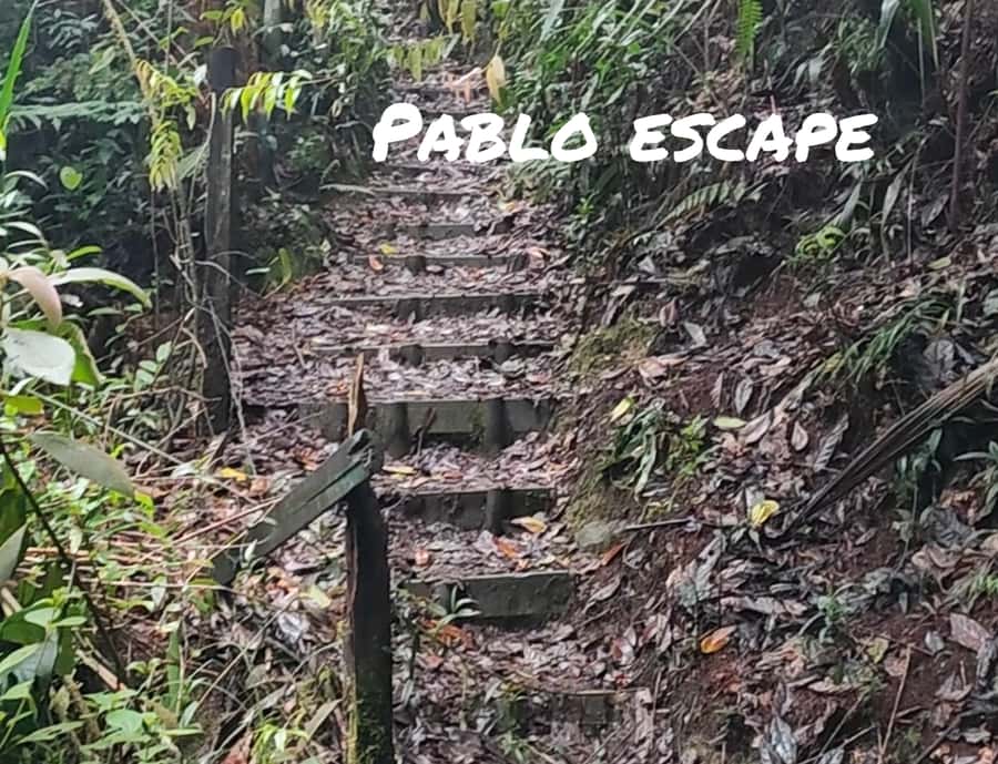 Medellin: Tour to The Cathedral - History of Pablo Escobar and his Impact - Private pickup, a calm day plan, and why the format matters