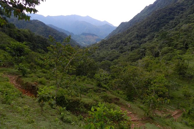 Medellín: Trekking Ríos de Cristal - Guides, pacing, and the small-group advantage
