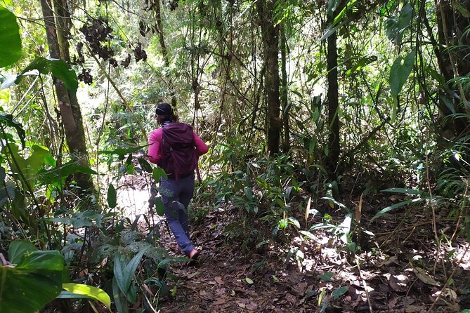 Medellín Viewpoints Hike - Price and Value: Why $108 Can Be a Good Deal for This Kind of Day