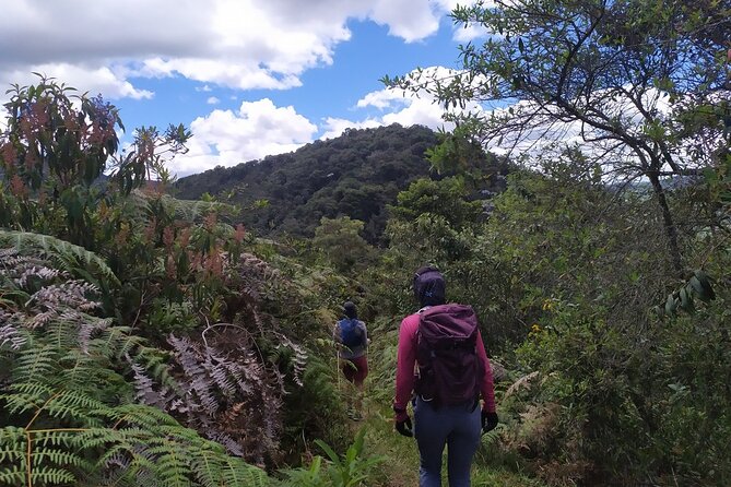 Medellín Viewpoints Hike - What to Bring: Stop the Bug-Bite Surprise Before It Happens