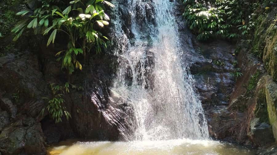 Minca: Hidden Waterfall + Coffee and Cocoa Workshop - Key things to know before you go