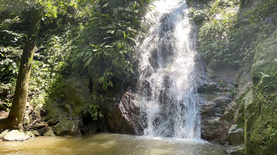 Minca: Hidden Waterfall + Coffee and Cocoa Workshop - Why Minca, Coffee, Cocoa, and a 25-Meter Waterfall Work So Well in One Day