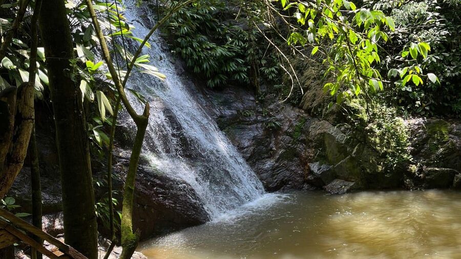 Minca: Hidden Waterfall + Coffee and Cocoa Workshop - Swimming at Cascada Escondida: The Cool Break You Came For
