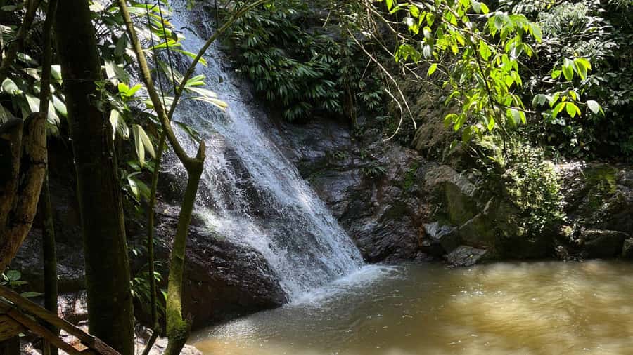 Minca: Hidden Waterfall + Coffee and Cocoa Workshop - What to Pack for This Minca Day: Waterproof Reality and Jungle Comfort