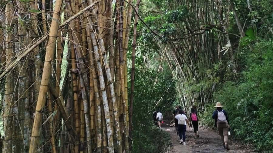 Minca: Hidden Waterfall + Coffee and Cocoa Workshop - Getting to Minca from Santa Marta, and How the Day Flows