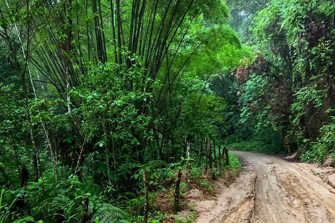 MINCA TOUR - Explore waterfalls and discover the origin of coffee and cocoa - Quick hits to know before you go