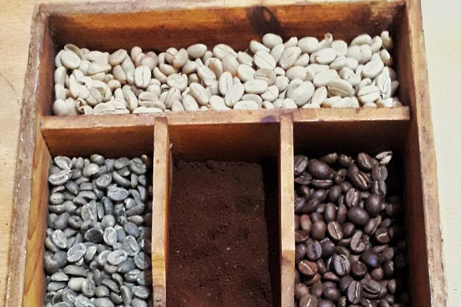 MINCA TOUR - Explore waterfalls and discover the origin of coffee and cocoa - Santa Marta to Minca: the ride, the timing, and why it matters