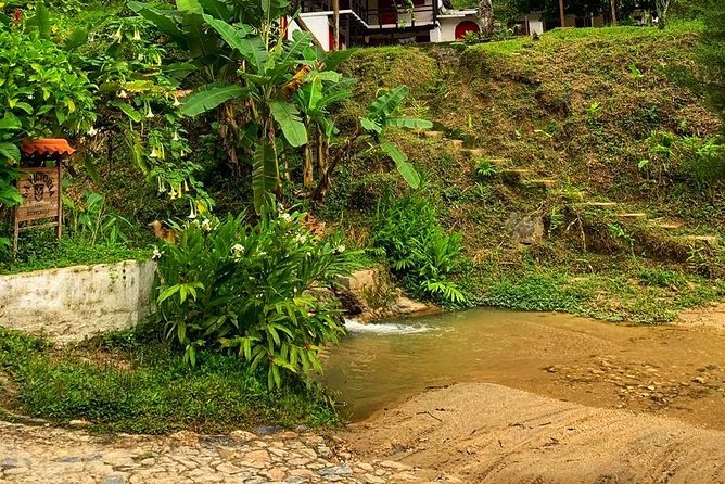 MINCA TOUR - Explore waterfalls and discover the origin of coffee and cocoa - Waterfall time: the best break of the day, plus safety basics