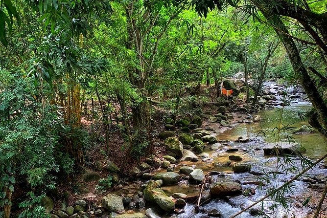 MINCA TOUR - Explore waterfalls and discover the origin of coffee and cocoa - The ecological trail in Minca: waterfalls, pools, and what you’re really seeing