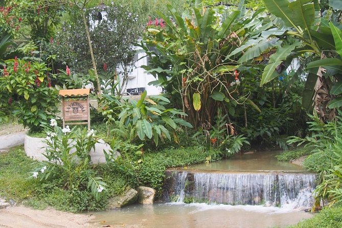 Minca, Waterfalls and Coffee Farm Tour from Santa Marta - Why This Minca, Waterfalls and Coffee Farm Tour Feels Worth the Effort