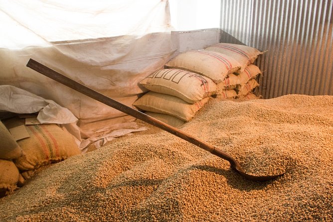 Minca, Waterfalls and Coffee Farm Tour from Santa Marta - La Victoria Coffee Farm: What You Learn, What You Taste, Why It Matters