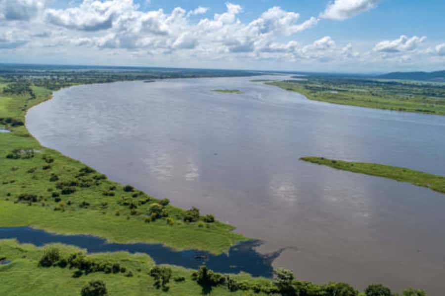 Mompox Caribbean Routes - The Magdalena River boat ride: where wildlife becomes the star