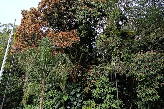 More than Escobar Tour - Medellín Chamber of Commerce and the economics behind the drug trade