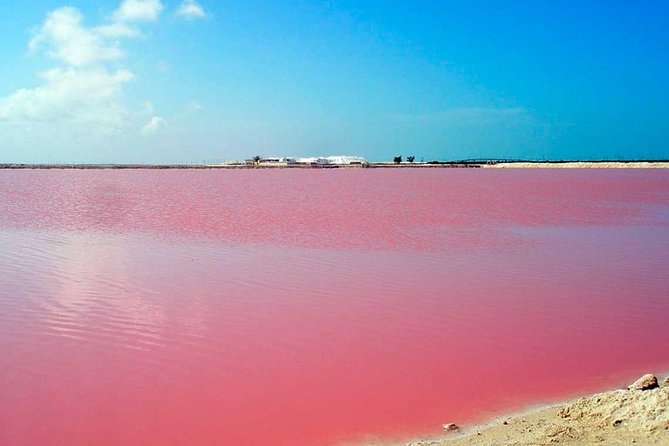 Mud Volcano and Pink Sea with Lunch Included - Price and Value: What $46 Buys You (and What Might Cost Extra)