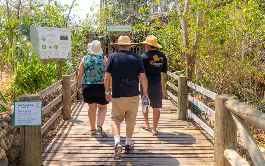 National Aviary and Playa Blanca Plankton Full-Day Tour - Inside the Aviario Nacional de Colombia: more than a bird zoo