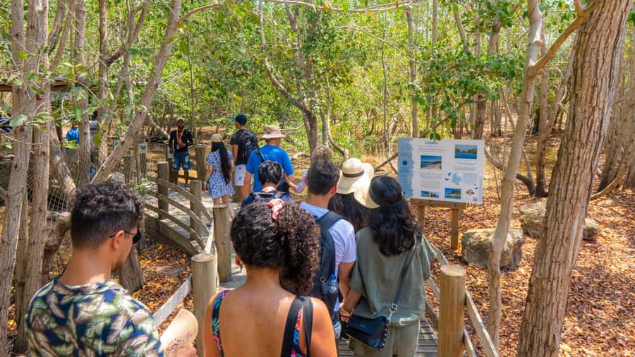 National Aviary and Playa Blanca Plankton Full-Day Tour - Mambo Beach Club at Playa Blanca: best value time on the island