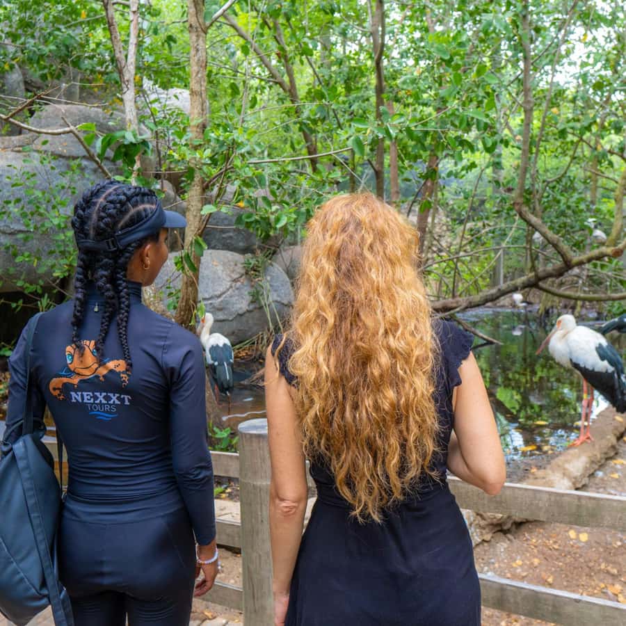 National Aviary and Playa Blanca Plankton Full-Day Tour - From Cartagena to Barú: the ride that sets the pace