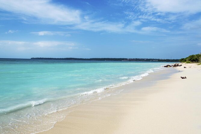 National Aviary & Mambo Beach Club Baru - Playa Blanca - Key highlights to know before you go