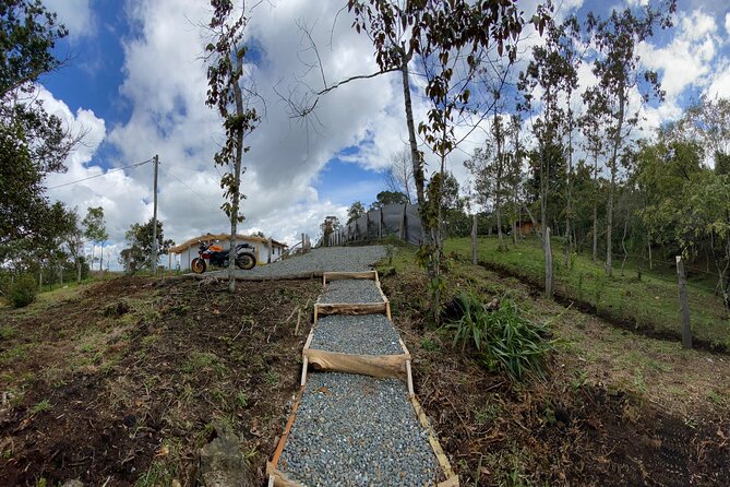 Nature Exploration and Healing Sounds in Santa Elena - Price and value: what you’re really paying for