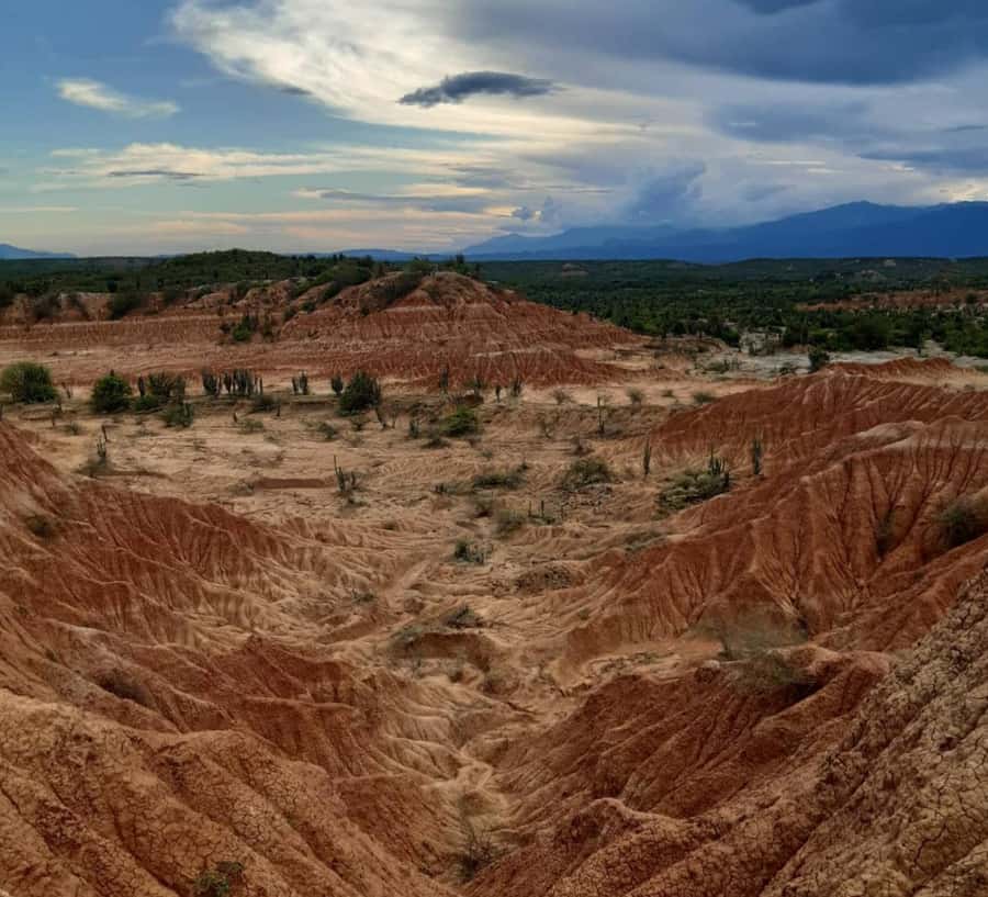 Neiva: Guided Day Trip to the Tatacoa Desert with Lunch - Key things that make this day trip worth it