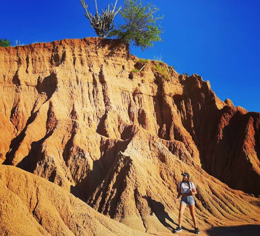 Neiva: Guided Day Trip to the Tatacoa Desert with Lunch - Why Tatacoa feels like another planet from Neiva