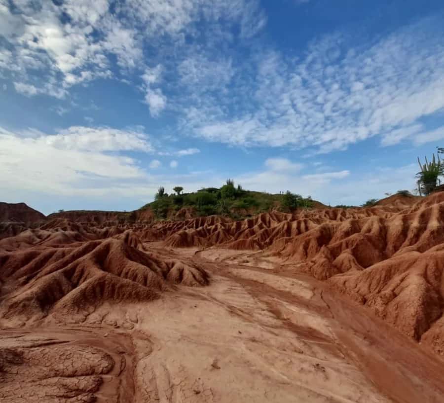 Neiva: Guided Day Trip to the Tatacoa Desert with Lunch - Pickup at 8:30, plus Villavieja streets and paleontology first