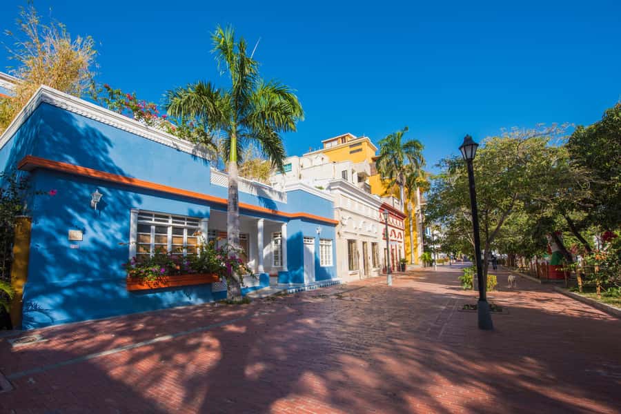 Old Town and Quinta Pedro Alejandrino Santa Marta City Tour - Key highlights you will actually feel