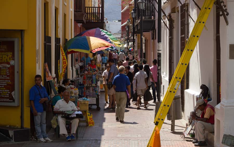 Old Town and Quinta Pedro Alejandrino Santa Marta City Tour - Guides, language, and how much they shape the day