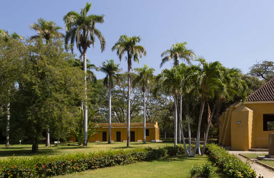 Old Town and Quinta Pedro Alejandrino Santa Marta City Tour - Comfort and practical tips for the walking day
